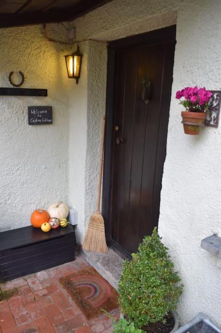 Cedra Cottage - Vintage Country Hideaway Axminster Dış mekan fotoğraf