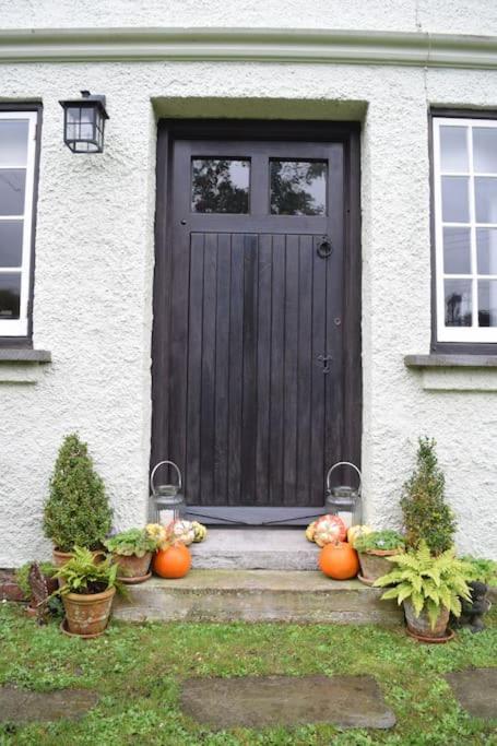 Cedra Cottage - Vintage Country Hideaway Axminster Dış mekan fotoğraf