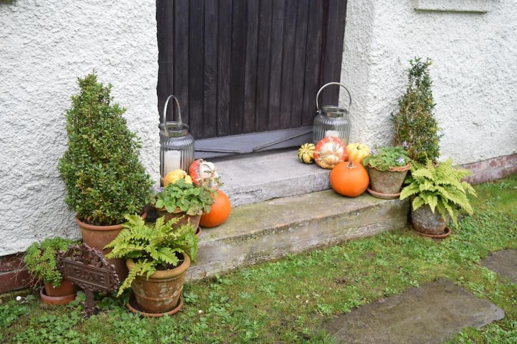 Cedra Cottage - Vintage Country Hideaway Axminster Dış mekan fotoğraf