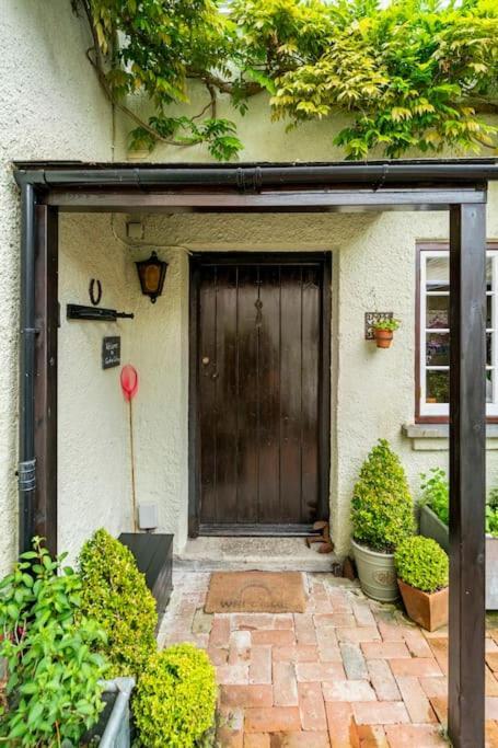 Cedra Cottage - Vintage Country Hideaway Axminster Dış mekan fotoğraf
